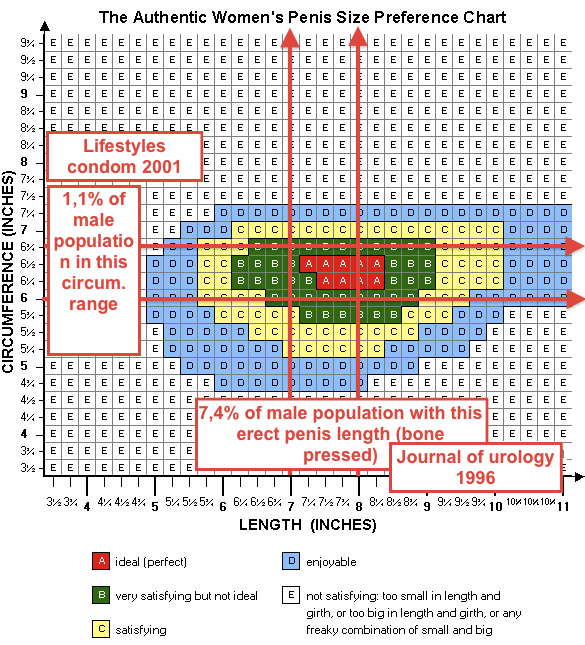 What Penis Size Do Women Want